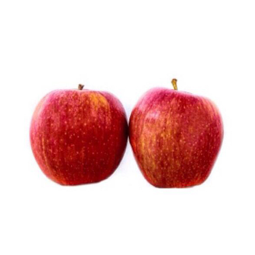 Manzana Gala