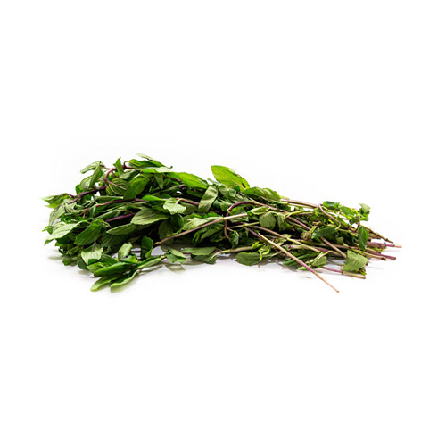 Menta